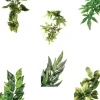 Exo Terra Abuliton medium