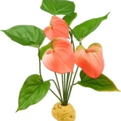 Exo Terra Anthurium bush