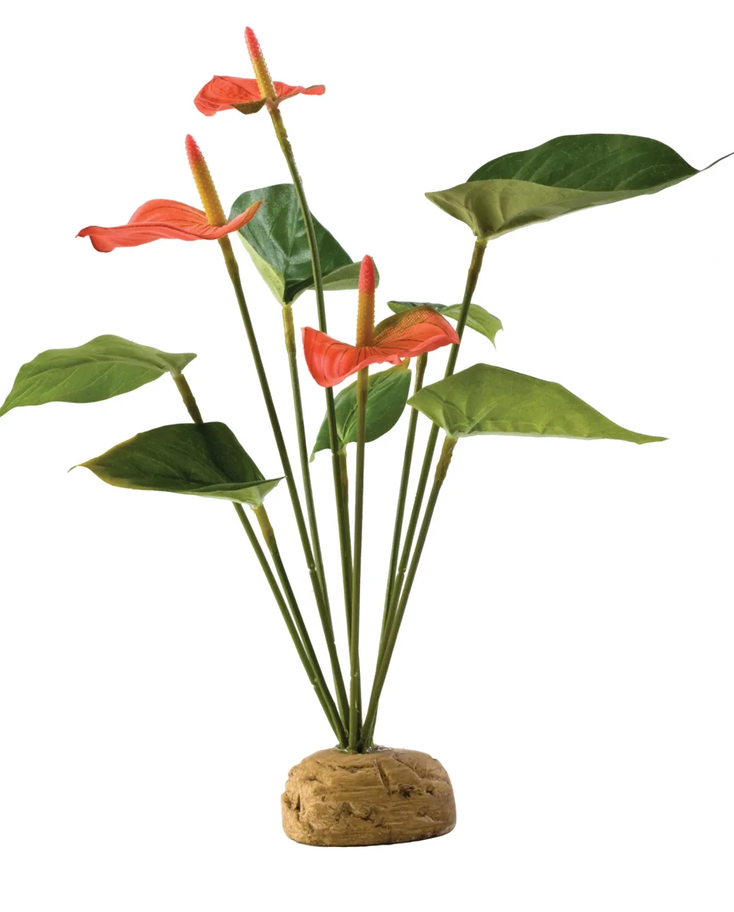 Exo Terra Anthurium bush