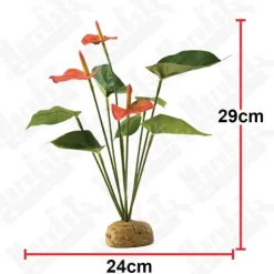 Exo Terra Anthurium bush