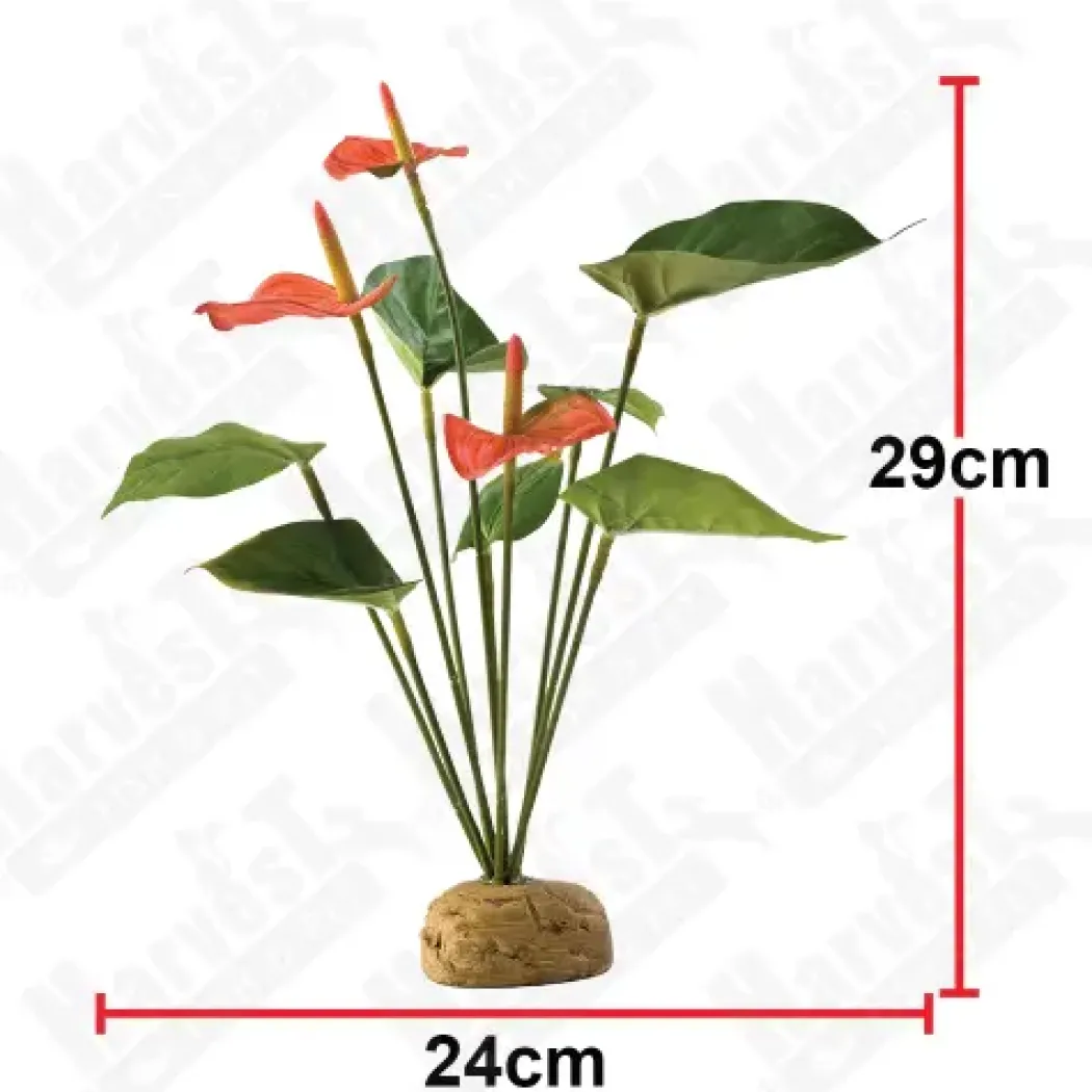 Exo Terra Anthurium bush