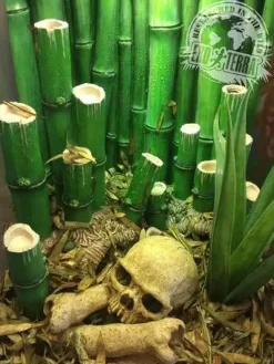 Exo Terra Bamboo Forest Floor 8,8 liter