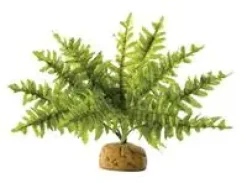 Exo Terra Boston Fern (lille)