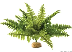 Exo Terra Boston Fern (medium)