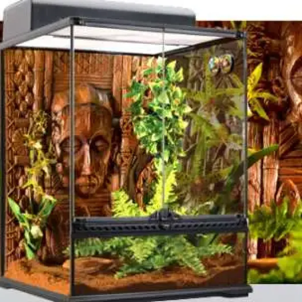 Exo Terra Boston Fern (medium)