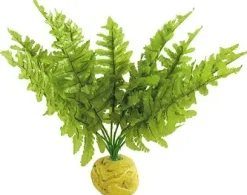 Exo Terra Boston Fern (medium)