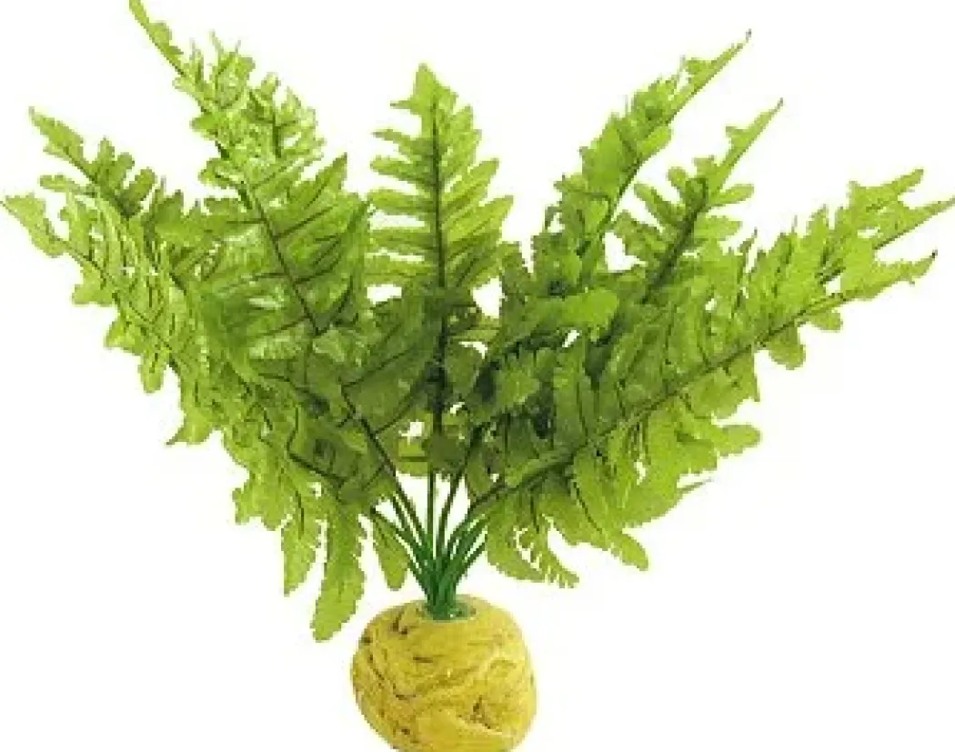 Exo Terra Boston Fern (medium)