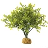 Exo Terra Boxwood bush