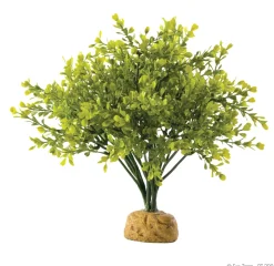 Exo Terra Boxwood bush