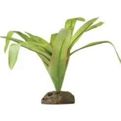 Exo Terra Bromelia Medium