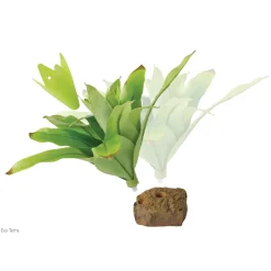 Exo Terra Bromelia Medium