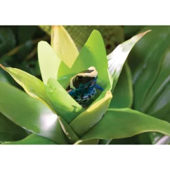 Exo Terra Bromelia Medium