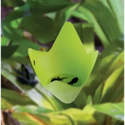 Exo Terra Bromelia Medium
