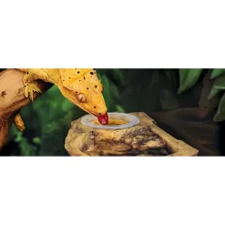 Exo Terra Canopy Combo Dish