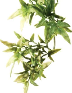 Exo Terra Croton medium