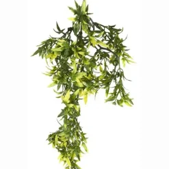 Exo Terra Croton medium
