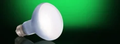Exo Terra Day Glo Spot 25 watt med UVA