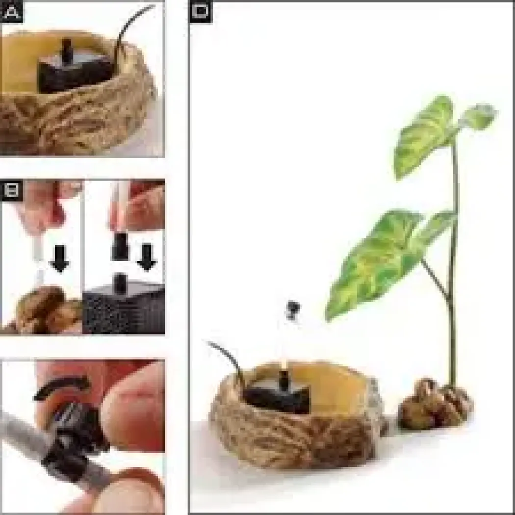 Exo Terra Dripping plante med pumpe stor