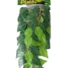 Exo Terra Ficus (lille)
