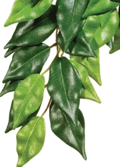 Exo Terra Ficus (lille)