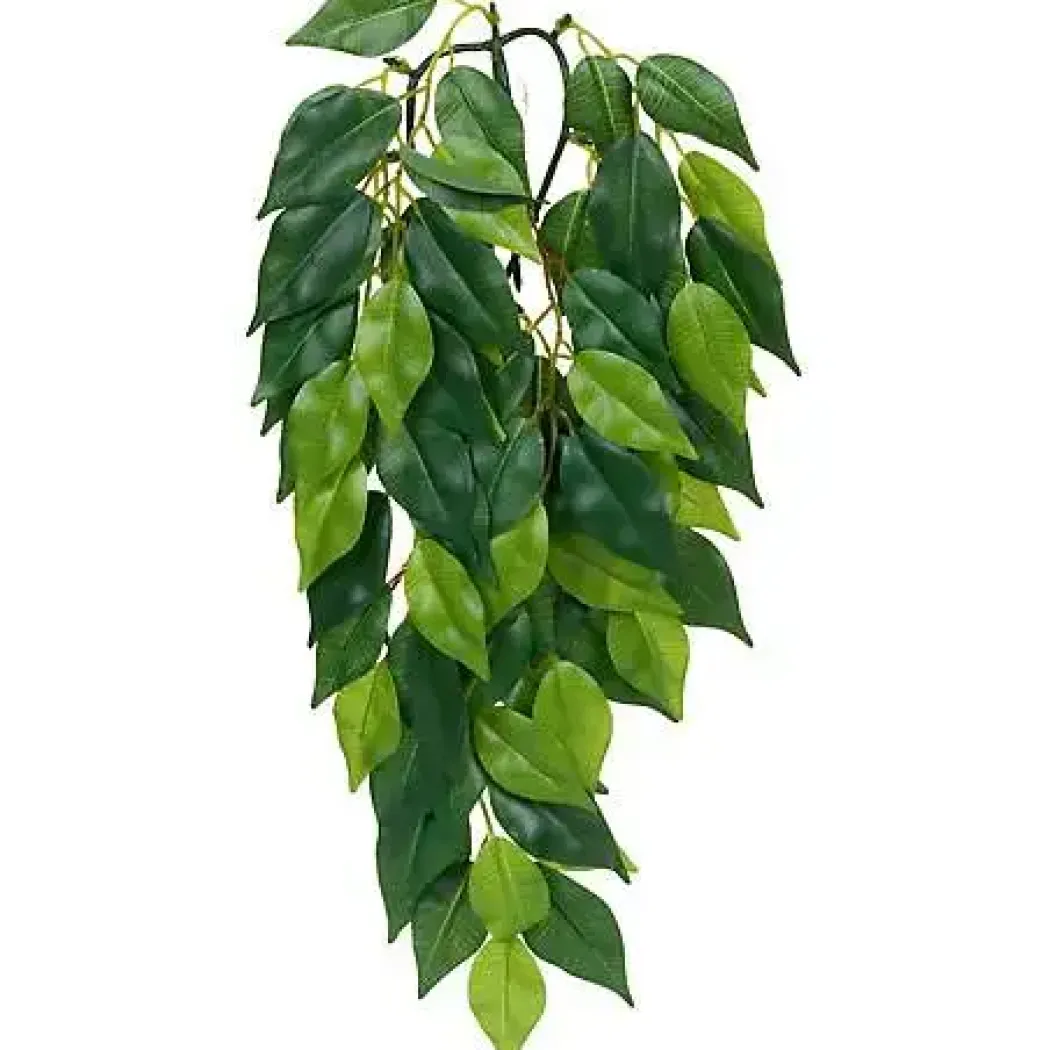 Exo Terra Ficus (lille)