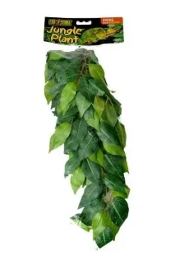 Exo Terra Ficus medium