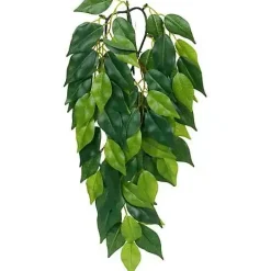 Exo Terra Ficus medium