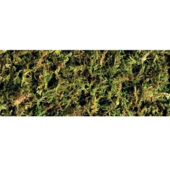 Exo Terra Forest Moss 2 x 7 liter