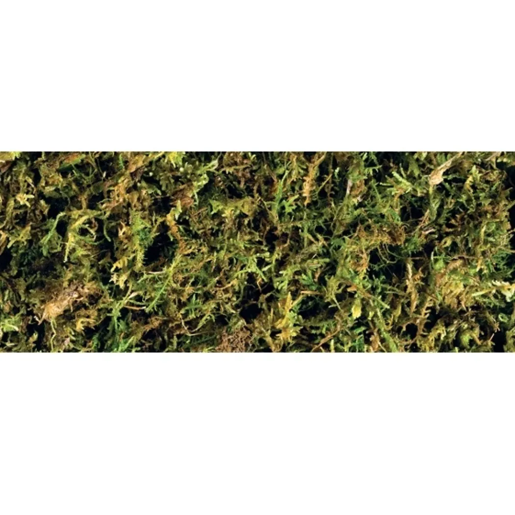 Exo Terra Forest Moss 2 x 7 liter