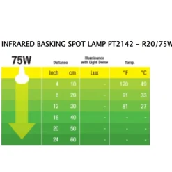 Exo Terra Heat Glo Infrarød spot 75 w