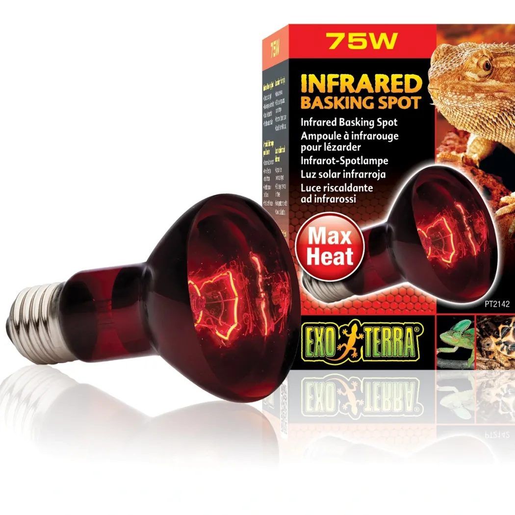 Exo Terra Heat Glo Infrarød spot 75 w