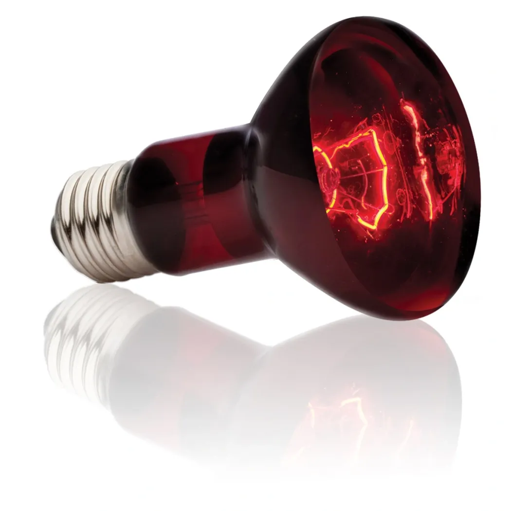 Exo Terra Heat Glo Infrarød spot 75 w
