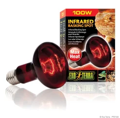 Exo Terra Heat Glo Infrarød spot 100 w