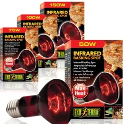 Exo Terra Heat Glo Infrarød spot 150 w