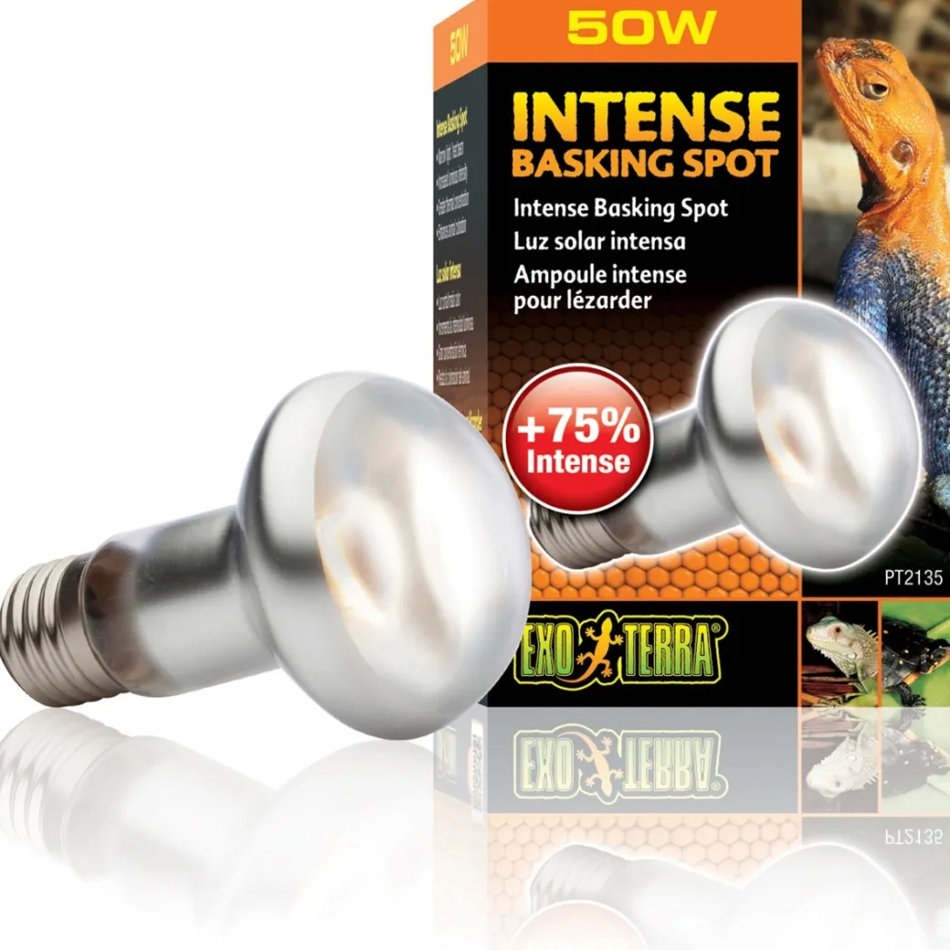 Exo Terra Intense Basking Spot 50 W - Effektiv UVA-varmespot til terrarier