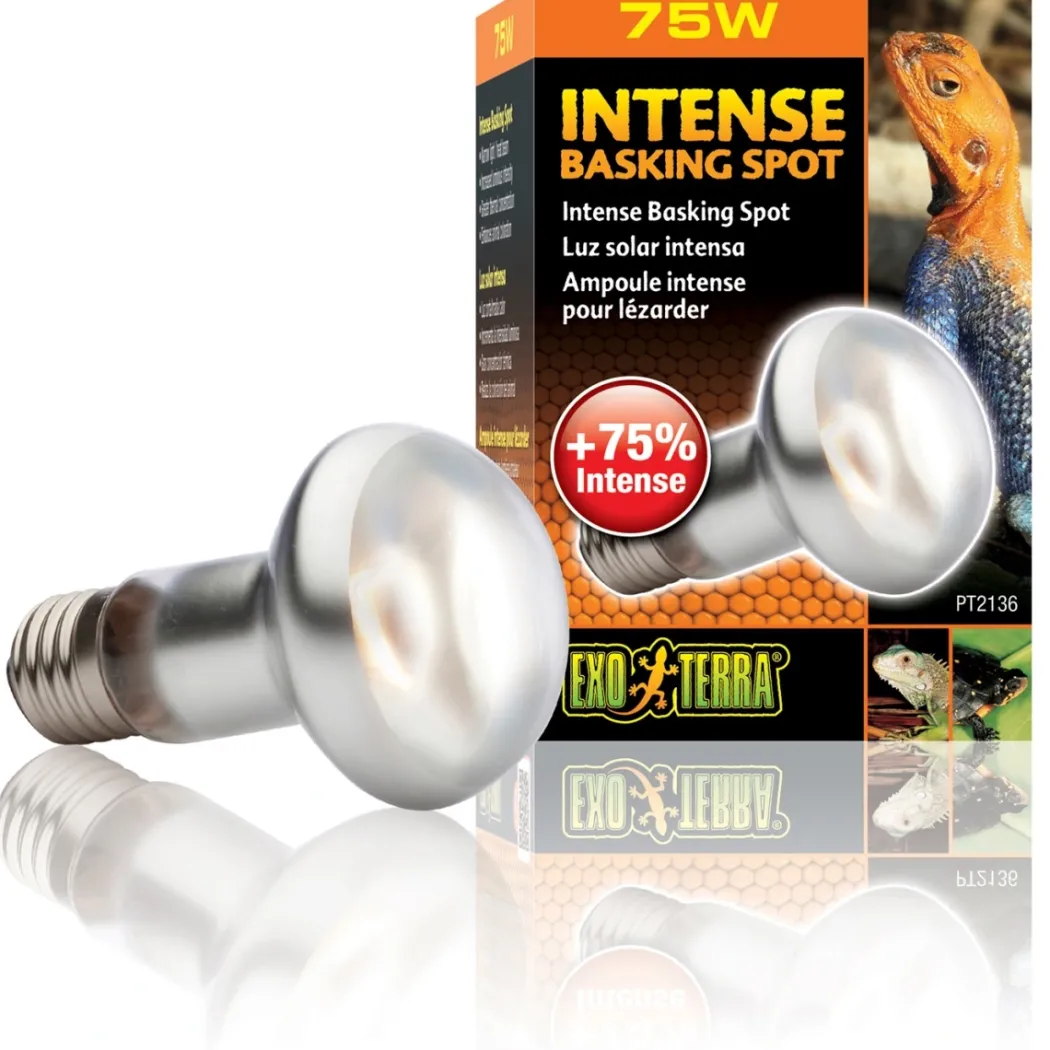 Exo Terra Intense Basking Spot 75 W - Effektiv UVA-varmespot til terrarier