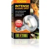 Exo Terra Intense Basking Spot 100 W - Effektiv UVA-varmespot til terrarier