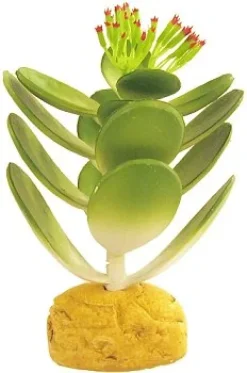 Exo Terra Jade kaktus