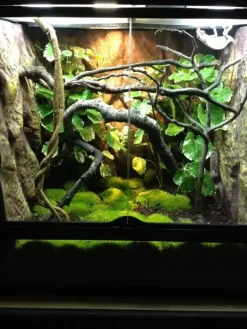 Exo Terra Jungle Træ stor