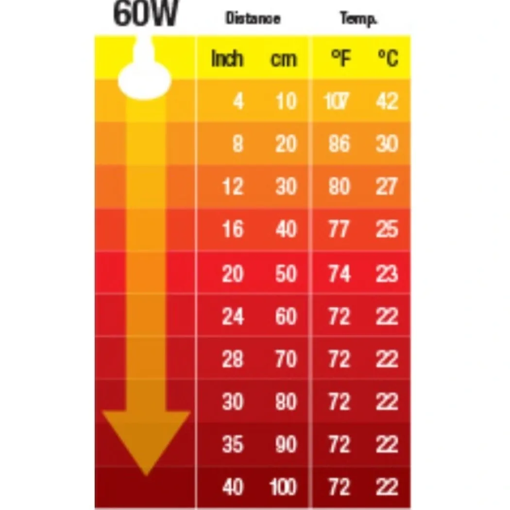 Exo Terra Kernevarmepære 60 w