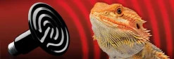 Exo Terra Kernevarmepære 100 w