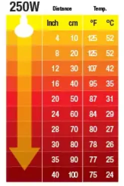 Exo Terra Kernevarmepære 250 w