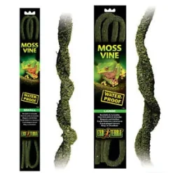 Exo Terra Lian med mos (stor)