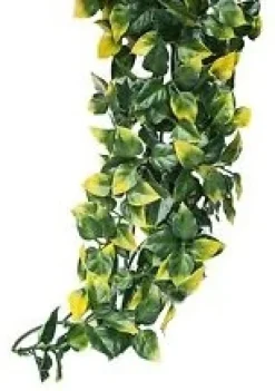 Exo Terra Mandarin stor