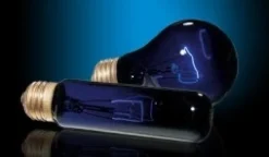 Exo Terra Night Glo 75 w