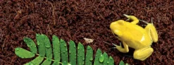 Exo Terra Plantation Soil 650 g