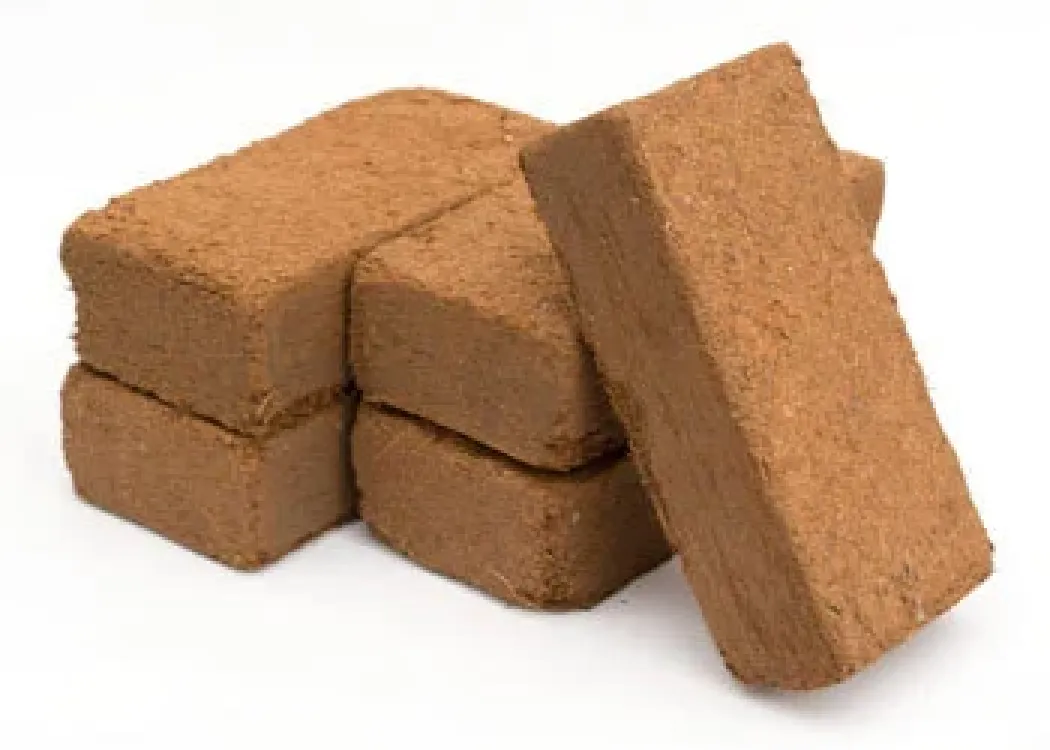 Exo Terra Plantation Soil 650 g x 3