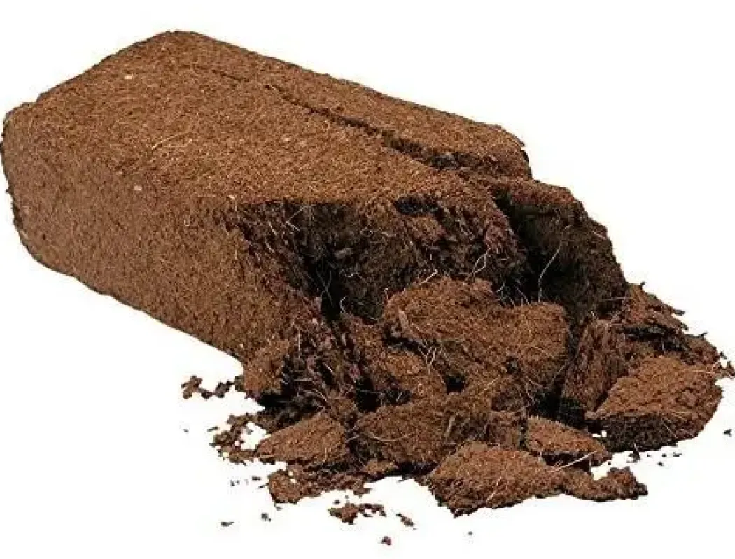 Exo Terra Plantation Soil 650 g x 3