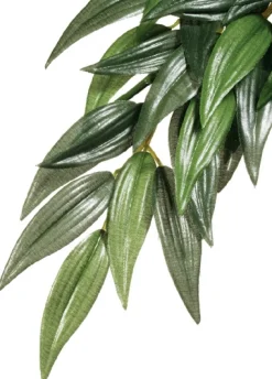 Exo Terra Ruscus lille