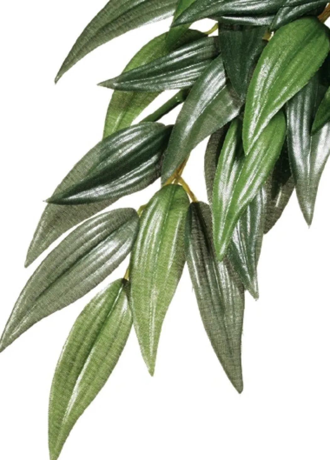 Exo Terra Ruscus lille